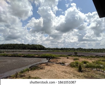 The View Of The Sawmill Waste Area