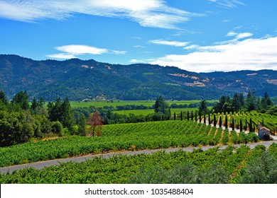 View Of Scenic Napa Valley In California