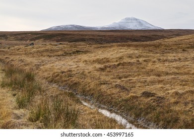 View Of Scottish Peatland With Mountain, Forsinard Scotland/ 