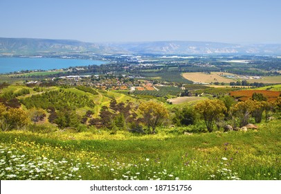 View Of The Sea Of Galilee Kineret, Israel