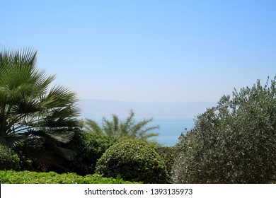 View of the Sea of Galilee and mountains through beautiful garden shrubs at the Mount of Beatitudes