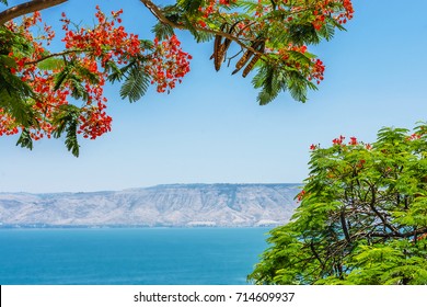 1000 Tiberias Israel Stock Images Photos Vectors - 