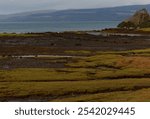 view of a sea loch shore at low tide