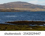 view of a sea loch shore at low tide