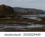 view of a sea loch shore at low tide