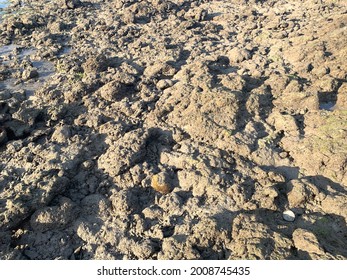 View Of The Sea At Low Tide Time. Sea Shore Of Timor Sea, Indonesia.