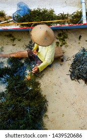 View Of Sea Weed Farm In Underwater Plantation