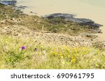 A view of a seashore