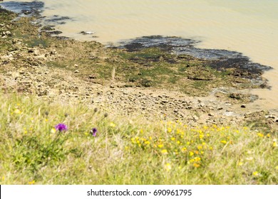 A view of a seashore