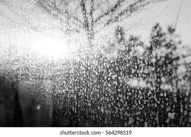 A view seen through the window of a bus