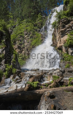 View of the seething stream of falling water of the Kamyshlinsky waterfall on a sunny summer day in the Altai Republic, Russia