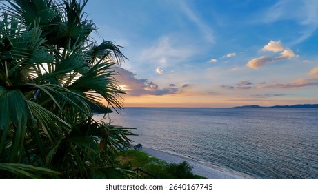 View of the setting sun through the branches of palm trees from the coast of a tropical island. View of the sunset over the sea through the leaves of the trees. Background tropical sunset.