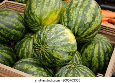 442 Unripe watermelon Images, Stock Photos & Vectors | Shutterstock