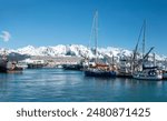 View of the Seward harbor, Alaska, USA