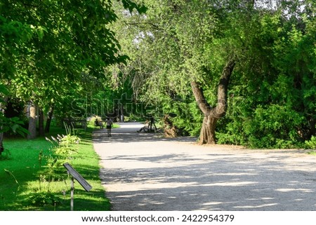 It is a view of shadow alley in Vienna park. It is a view garden in sunny day.