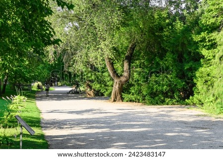 It is a view of a shadow alley in Vienna park. It is of view garden in sunny day.