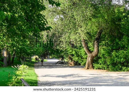 It is view of shadow alley in Vienna park. It is view of a garden in sunny day.