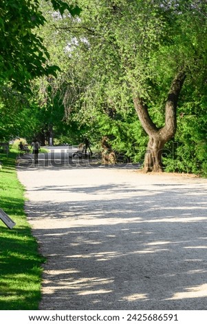 It is view of shadow alley in Vienna park. It is a view garden in sunny day.
