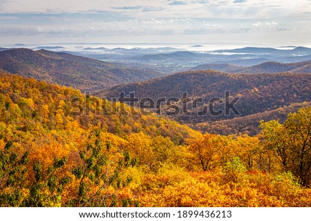 Similar – Image, Stock Photo wilderness