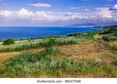 View from the shore of the sea. Beautiful scenery overlooking the bay. Mowed grass in the foreground. - Shutterstock ID 385477048