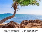 View of the shore of the South China Sea with a sandy beach, large rocks and green palm. Sanya China