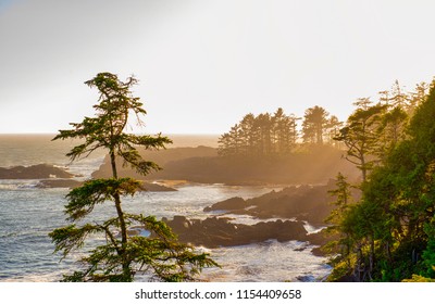 View of the shoreline at wild pacific trail in Ucluelet, Vancouver Island, BC at sunset time.