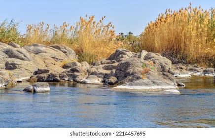 A View Showing The West Bank Of The Nile River In Egypt During Day Light With Natural Lotus Flowers And Granite Rocks On The Shore Of Running Fresh Water Coming From Africa  