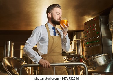 View From Side Of Male Brewer Smelling Delicious Golden Beer While Working At Factory. Bearded Man Standing In Modern Brewery And Manufacturing Ale. Concept Of Production And Distillation.