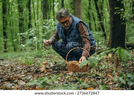 View from the side, sitting. Mushroom picking. Man is in the forest at daytime.