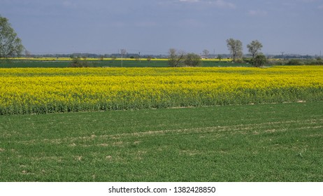 92 Silesia lowlands Images, Stock Photos & Vectors | Shutterstock