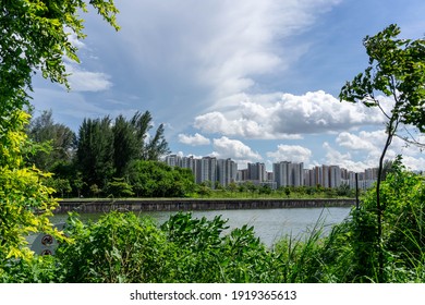 view of Singapore Public Housing Apartments in Punggol District, Singapore. Housing Development Board(HDB), View from the park with green grass field and lake