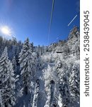 View from a ski lift in Big Bear, California