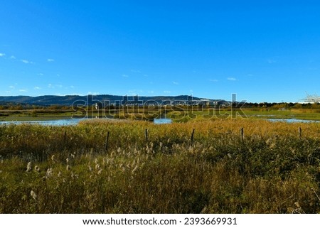 View of Skocjanski zatok wetland marsh landscape and hill with houses in Koper in Primorska, Slovenia