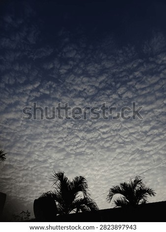 View of the sky at dawn 