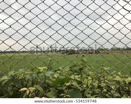 view sky and meadow Look through steel mesh, Iron bars on the street, View inside the cage mesh barrier.
