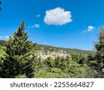 View of the sky with a pine tree on top