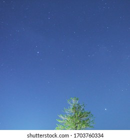 View of sky with a tree in the background