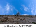 View of the sky from the wall                               