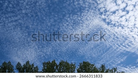 View of the sky in which fleecy clouds can be seen