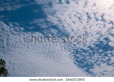 View of the sky in which fleecy clouds can be seen