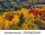 The view from Skyline Drive in Duluth, Minnesota in the fall