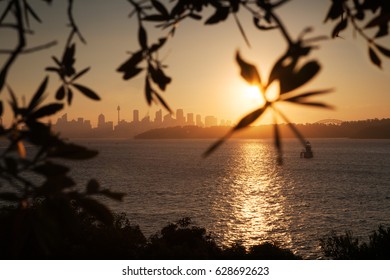 View Of The Skyline Of Sydney City Center In A Stunning Sunset Light, From Robertson Park In Watsons Bay, Australia.