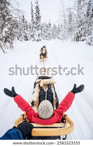 View from a sled being pulled by huskies on a snow-covered trail, surrounded by dense, snowy trees. A child in a red jacket spreads their arms in joy.