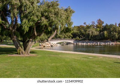 A View Of A Small Lake In Irvine, CA