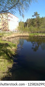 View Of The Small Pond, Office Building And Green Climb Behind It