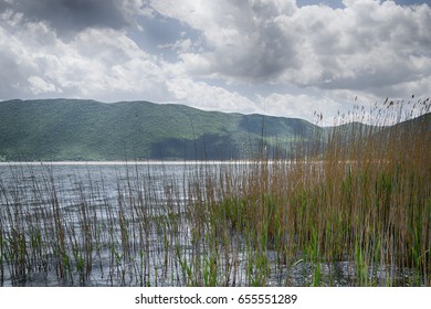 View At The Small Prespa Lake, Greece.