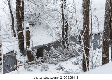 View of a small river through snow-covered trees in the forest. There is a reflection of the trees in the water