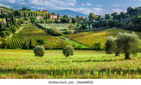 View Of A Small Village In Tuscany