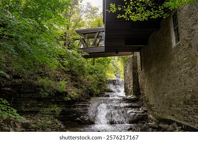 View of a small waterfall in the forest.