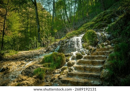 A view of a small waterfall in the green forest and stairs
